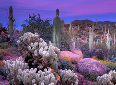 Electricians in Phoenix AZ